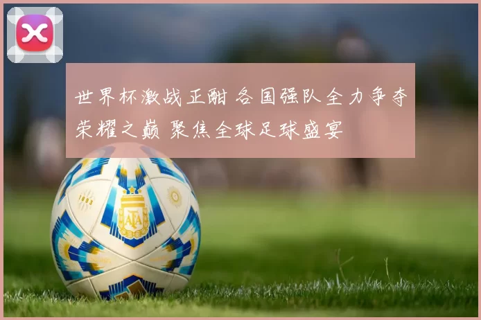 世界杯激战正酣 各国强队全力争夺荣耀之巅 聚焦全球足球盛宴