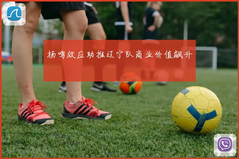 杨鸣效应助推辽宁队商业价值飙升