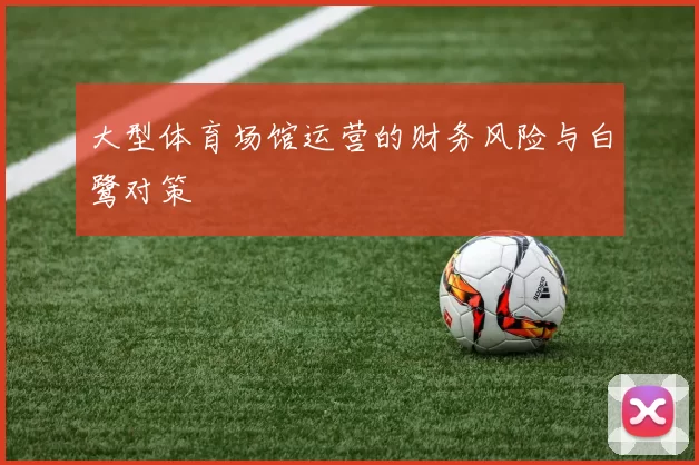 大型体育场馆运营的财务风险与白鹭对策