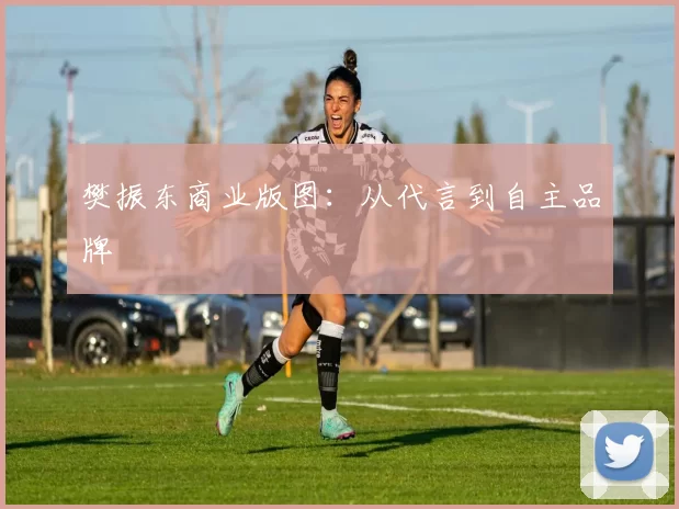 樊振东商业版图：从代言到自主品牌