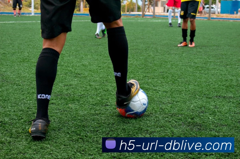 db真人首页平台生态图