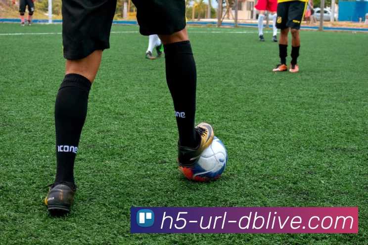 db真人首页全站App